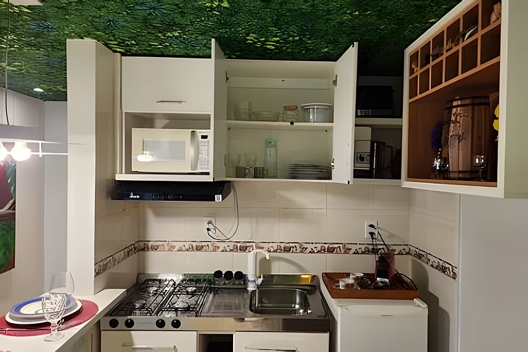 Studio Natureza no centro de Brasília